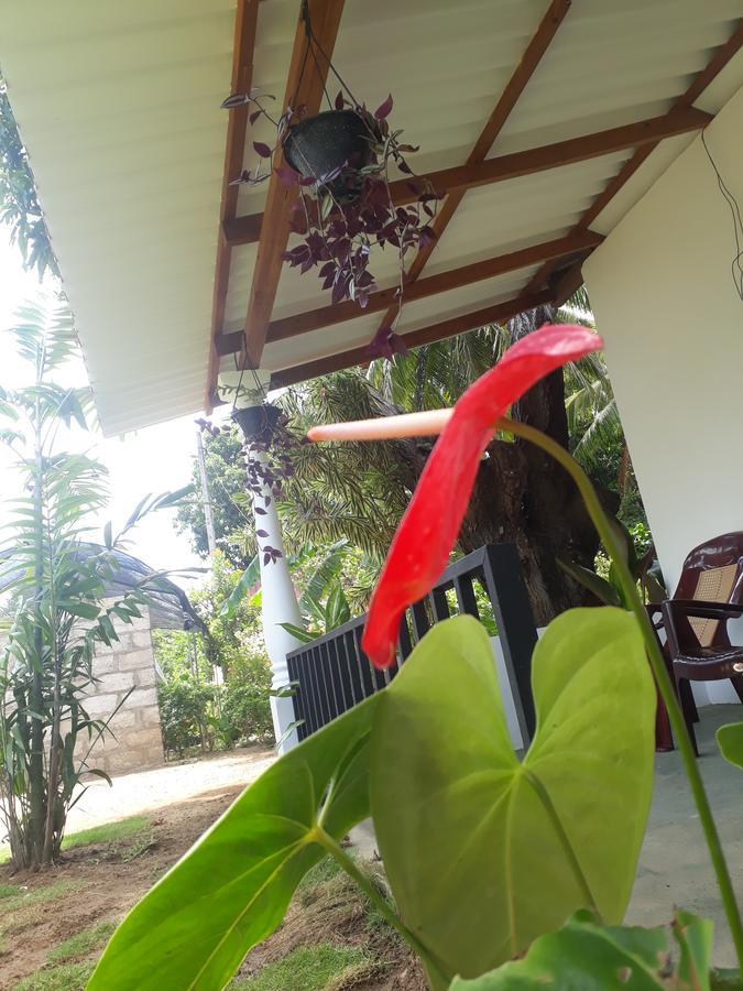 Akila Holiday Resort Habarana Exterior foto